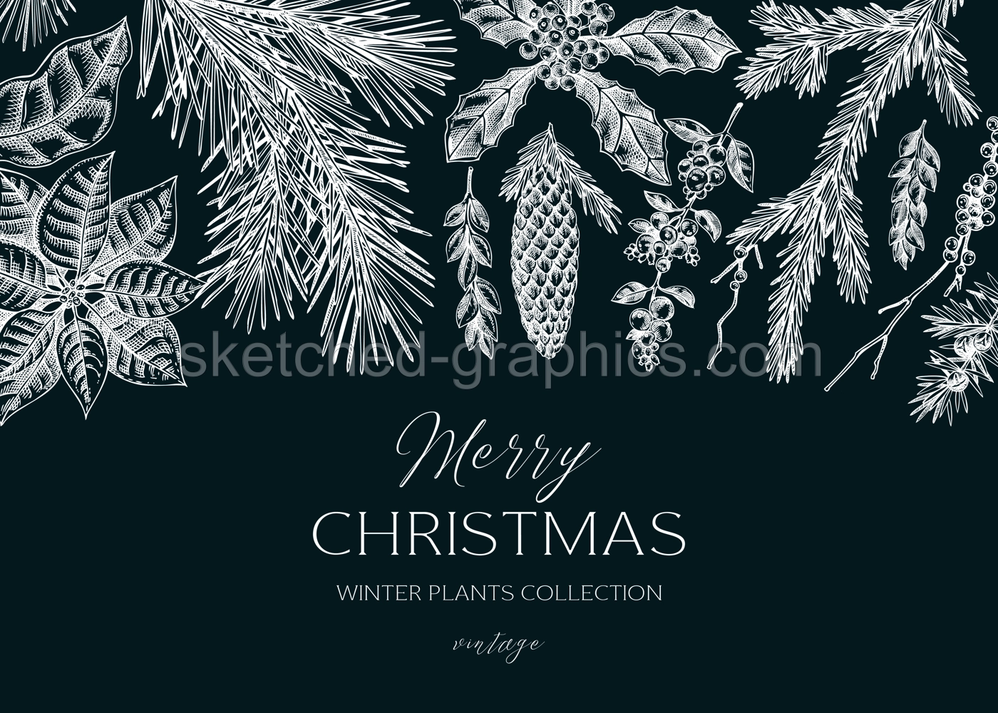 Christmas background. Winter plants vintage banner. Conifer trees, winter flowers, birds sketches on chalkboard. Hand drawn vector illustration. NOT AI generated Illustration